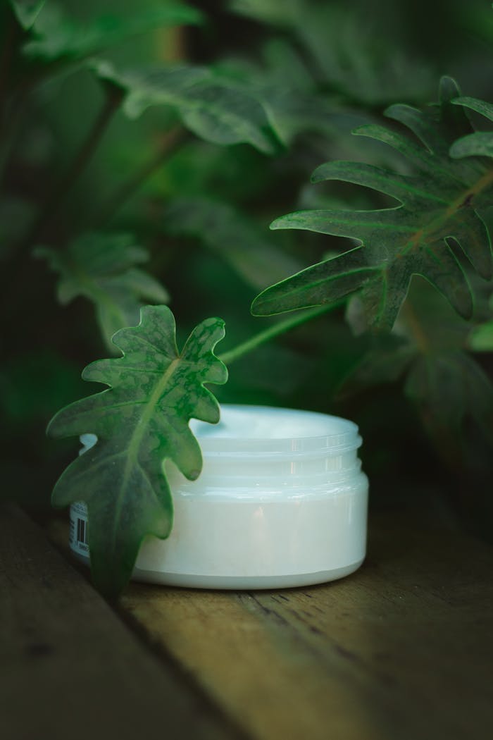 Mastering the First Impression: Your intriguing post title goes here Close-up of skincare cream jar amidst lush green leaves, highlighting eco-friendly beauty.